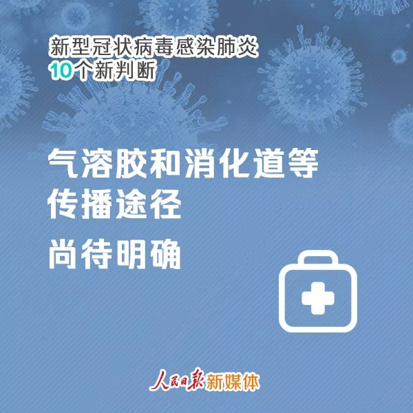 全球性挑战与应对策略，新型冠状病毒疫情的全球视角