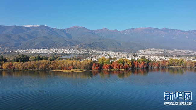巴中市共克时艰，守护绿水青山，最新新冠疫情动态